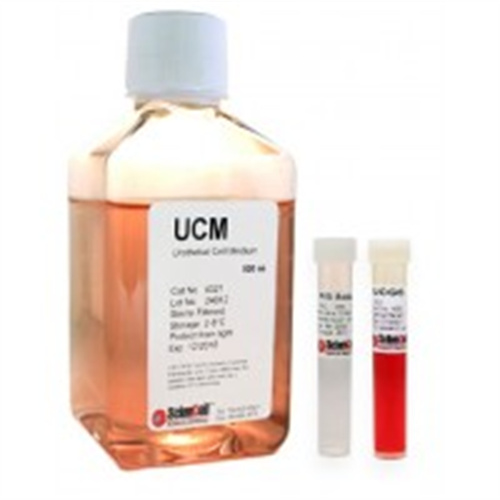 ScienCell 尿道上皮细胞培养基UCM