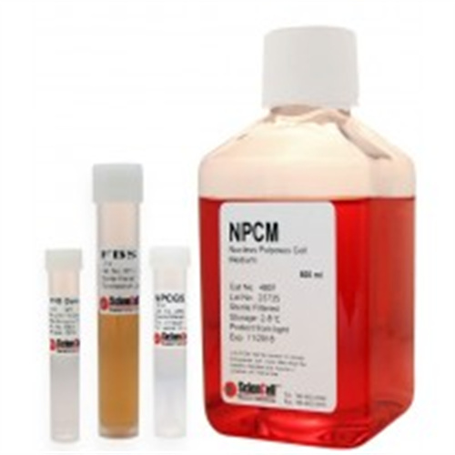 ScienCell 髓核细胞培养基HNPC