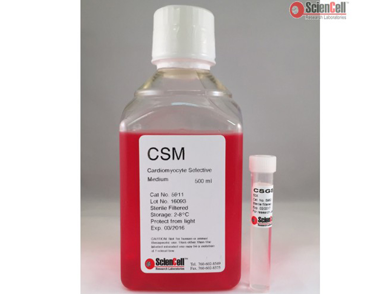 ScienCell心肌细胞选择性培养基CSM