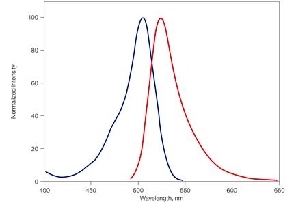 伯乐Bio-rad CytoTrack&trade;  Green 511/525