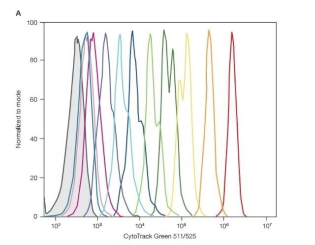 伯乐Bio-rad CytoTrack&trade; Yellow