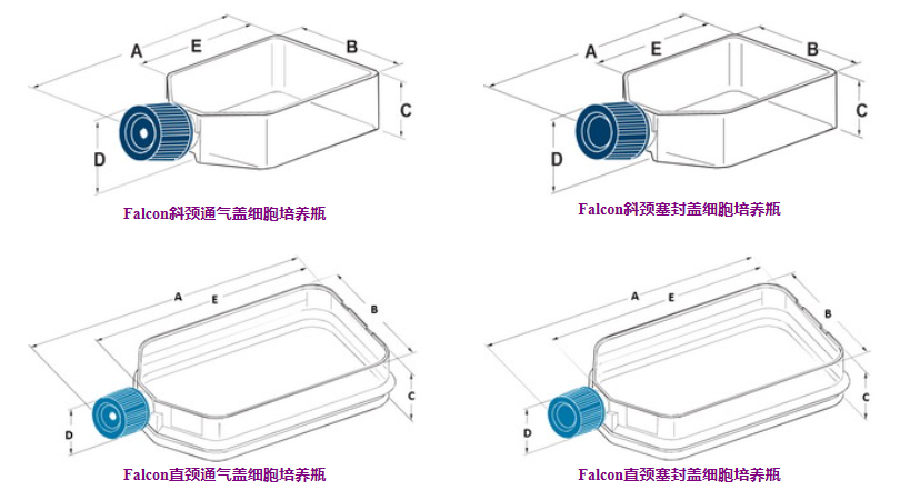 BD falcon细胞培养瓶12.5c㎡25ml斜颈透气盖