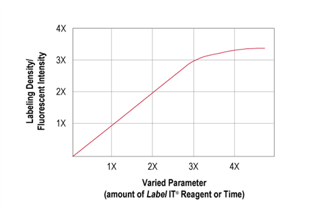 irus Label IT®——高效、一步法用于体内和体外核酸标记的新技术