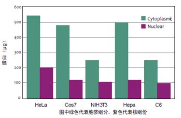 NE-PER核蛋白-胞浆蛋白抽提试剂盒(Nuclear and Cytoplasmic Extraction Reagents) 250reactions 78835 PIERCE
