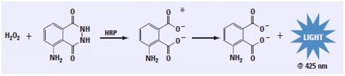 持久性化学发光底物(SuperSignal West Dura Extended Duration Substrate)200 mL 34076 PIERCE