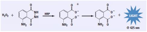 持久性化学发光底物（SuperSignal West Dura Extended Duration Substrate）200 mL 34076 PIERCE